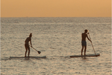 Paddle/équilibre Paddle/équilibre