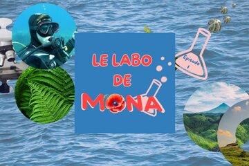 Mona'Venture FDS