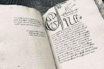 L'herbier d'Arnaud de Villeneuve, traduit du latin en ancien français pour la reine Isabelle de Bavière (déb. du XVe s.). Photographie du ms-2889, conservé à la bibliothèque de l'Arsenal (Paris)