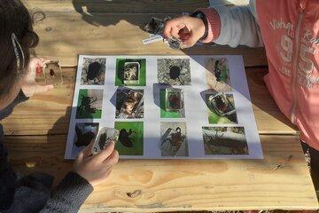 jeu sur les animaux du jardin