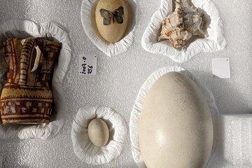 Collections du musée