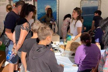Escape game sur la mer