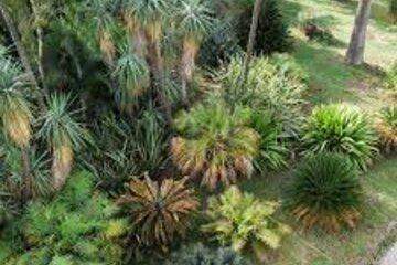 Jardin Thuret