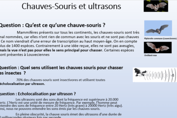 Panneau d'un des nombreux ateliers