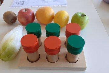 Diversité des plantes et leur place dans notre alimentation