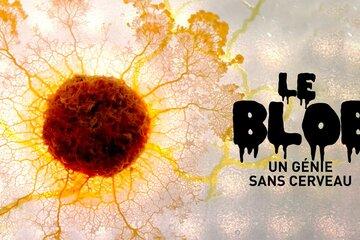 un blob