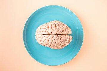 Un cerveau est posé dans une assiette bleu sur fond couleur rose pâle/beige comme le cerveau.