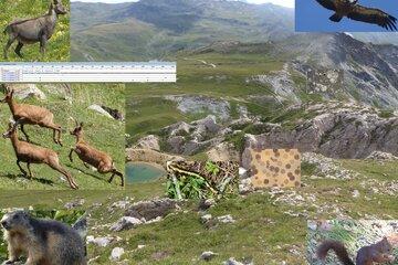 L'observation d'un écosystème permet, grâce à ses nombreux indices de révéler sa biodiversité actuelle mais aussi passé tout en utilisant différentes intelligences