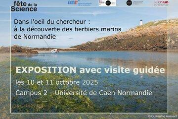 Affiche de l'exposition avec visite guidée "Dans l’œil du chercheur : à la découverte des herbiers marins de Normandie".
