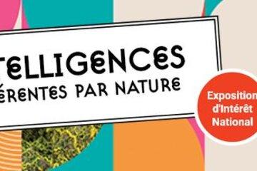 Intelligences, différentes par nature