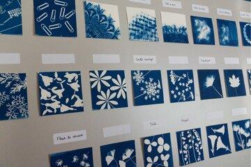 Photo de cyanotypes