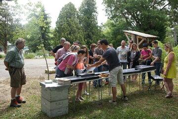 Atelier "les collections abeilles"