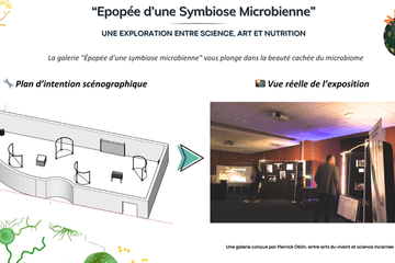 NALBA - Ressentir et comprendre l’intelligence invisible de notre microbiote.