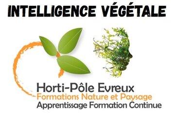 Fete de la science 2025 - Animation Hortipole Evreux