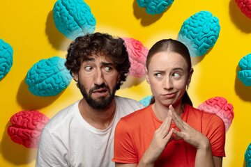 Cerveau de femme, cerveau d'homme ?