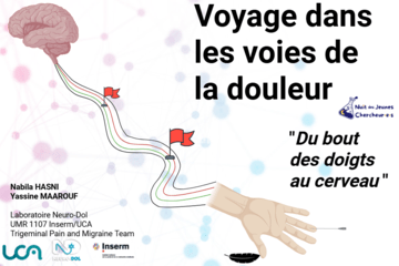 Illustration en lien avec le thème de l'atelier