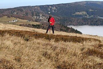 Prairies des Hautes Vosges (massif du Hohneck)