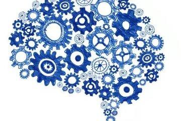 Image cerveau
