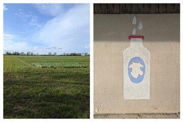 Champs de céréales et peinture au lycée agricole de Venours