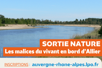 Rivière Allier