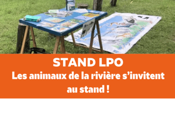 Stand LPO Stand LPO