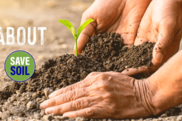 Save Soil et le sol mondial