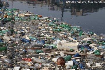Déchets plastiques, Naples, Expédition Tara Méditerranée
