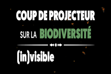 Titre sur un fond noir, le mot biodiversité est en vert tandis que les autres mots sont blancs.