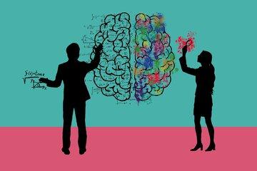De notre cerveau à l’intelligence animale
