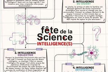 L'intelligence est-elle seulement biologique ou peut être aussi sociale, collective et artificielle ?