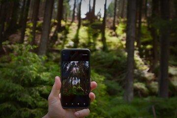 Smartphone et nature