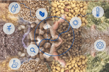 Co-produits intelligence des solutions produits