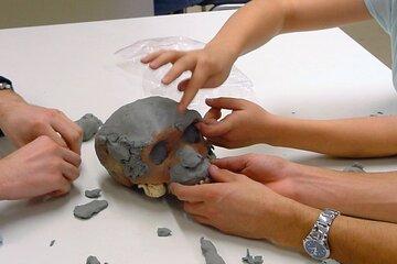 Le cerveau des Préhistos !