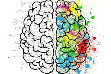 Les outils de notre cerveau