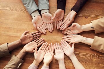Intelligence collective