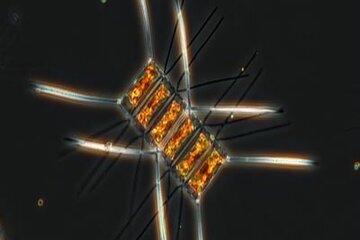 image de l'événement