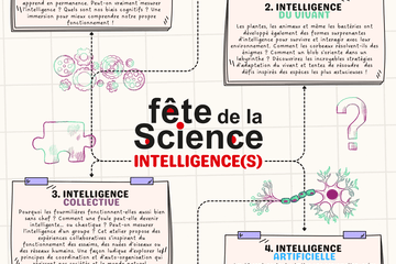 Affiche colorée présentant quatre ateliers scientifiques sur les intelligences humaine, collective, du vivant et artificielle.