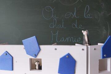 Chat caché 
