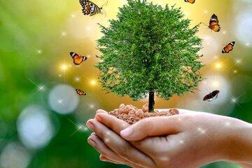  Renouer vivant nature environnement