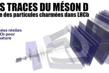 Illustration du détecteur LHCb