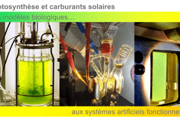 Photosynthèse et carburants solaires