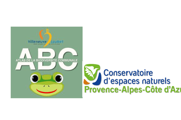 L'intelligence biologique