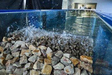 Texte alternatif concis :  > Expérience de houle dans un canal en verre rempli d'eau avec des blocs rocheux au fond.