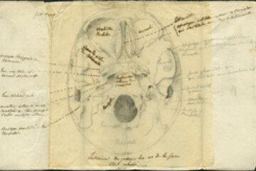 Schéma d'un crâne, travail d'élève de 1830