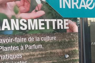 Atelier INRAE Fleurs d'exception du pays de Grasse