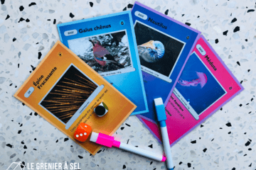 Grana Salheina Des cartes de jeu, deux dés, et deux crayons sur une table.