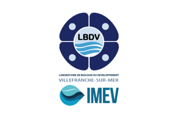 IMEV