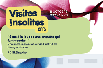 Les visites insolites du CNRS