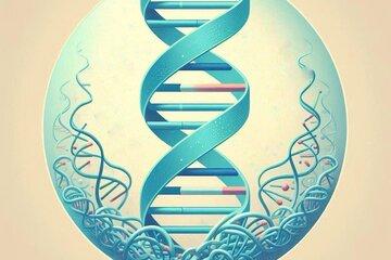 Image d'une structure d'ADN