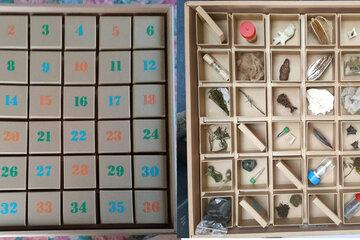 Cabinet de curiosités naturalistes